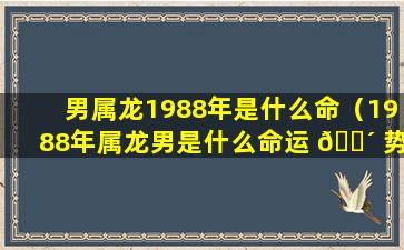 男属龙1988年是什么命（1988年属龙男是什么命运 🌴 势）